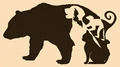 Optische Täuschung mit fünf Tieren: Welches sehen Sie zuerst und was sagt das über Ihre Persönlichkeit aus?