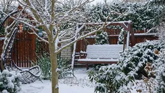 Wichtige Aufgaben im Garten und Gemüsegarten im Januar